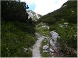 Planina Podvežak - Kapelica na Molički planini